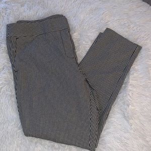 Ann Taylor Loft Petites Dress Pants 14P